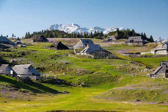Velika Planina Guided Hike from Ljubljana - Key things I’d plan around