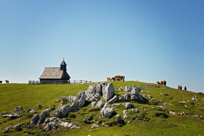 Velika Planina Guided Hike from Ljubljana - The terrain reality check: gravel, boulders, and fly season