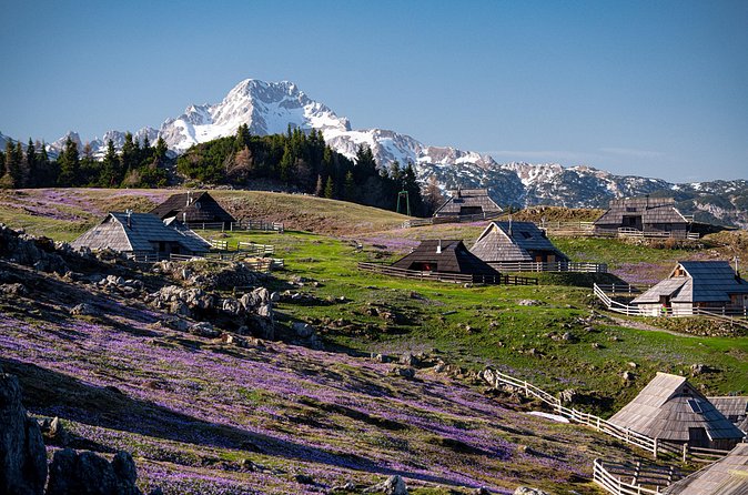 Velika Planina Guided Hike from Ljubljana - Making the views work for you: timing, effort, and pacing