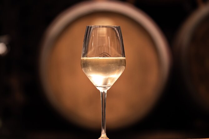Vipava Valley Wine Express Tour From Ljubljana - Organic producers and the home-estate factor (the part I care about most)