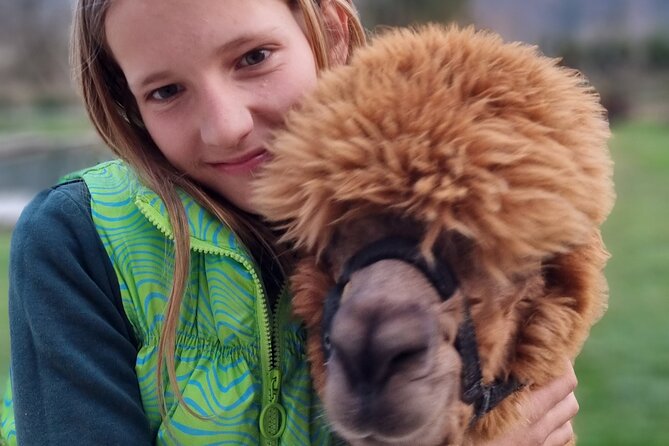 Walking with alpacas - Domačija Loncnar - Bohinj - When you arrive: calm starts before the first step