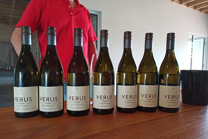 Wine and Culinary Adventure in Jeruzalem - Full Day Tour from Ljubljana or Ptuj - Boutique cellar stops and wine tastings at two quality producers