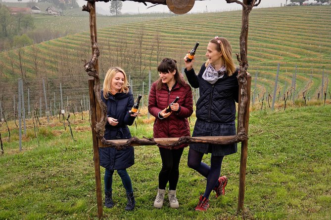 Wine and Culinary Adventure in Jeruzalem - Full Day Tour from Ljubljana or Ptuj - Price and value: what you get for about $402 per person