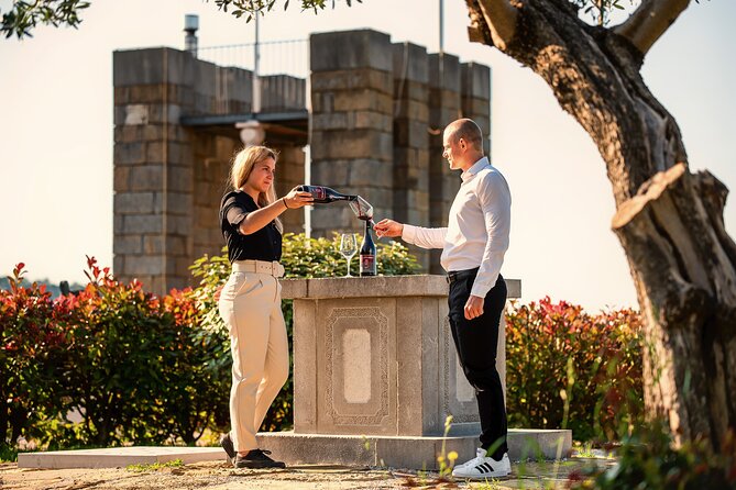 Wine Degustation in the Heart of Slovenian Istria - Key Highlights You Should Care About