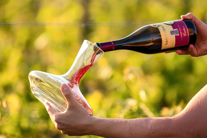 Wine Degustation in the Heart of Slovenian Istria - What The 1 Hour 30 Minute Degustation Covers