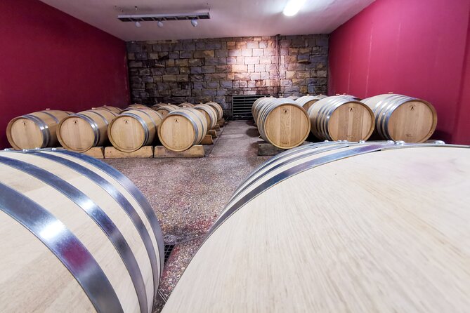 Wine Degustation in the Heart of Slovenian Istria - The Wines: Refosco, Malvasia, and International Reds