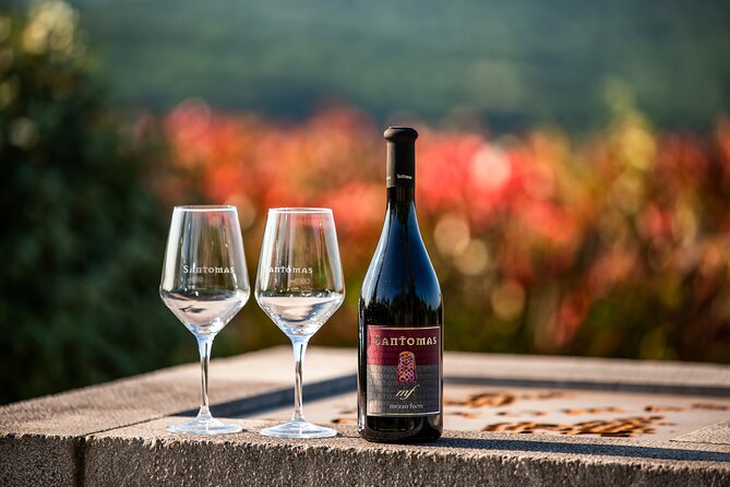 Wine Degustation in the Heart of Slovenian Istria - Vineyard to Bottle, and the Philosophy You Actually Hear