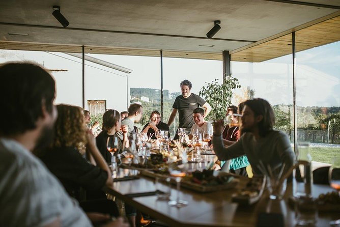 Wine Tasting with Pairing Snacks in Vipava Valley - Key Things To Know Before You Go