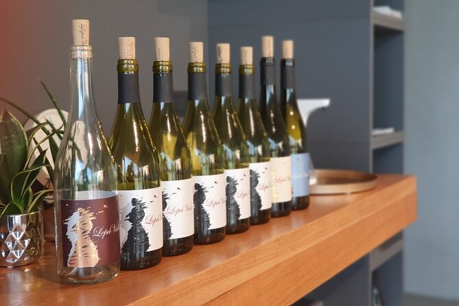 Wine Tasting with Pairing Snacks in Vipava Valley - What You Will Taste: 5+ Lepa Vida Wines in One Session
