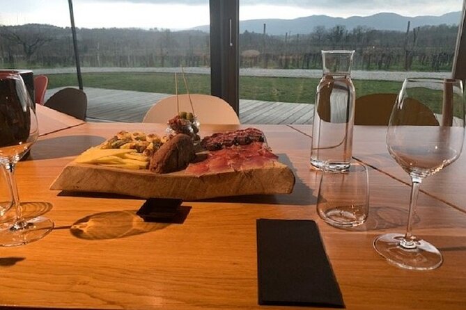 Wine Tasting with Pairing Snacks in Vipava Valley - Who This Fits Best in Your Slovenia Plan