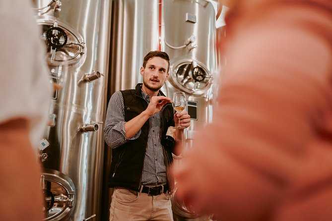 Wine Tours in Slovenia - Price and Value: Is $394.23 Worth It?
